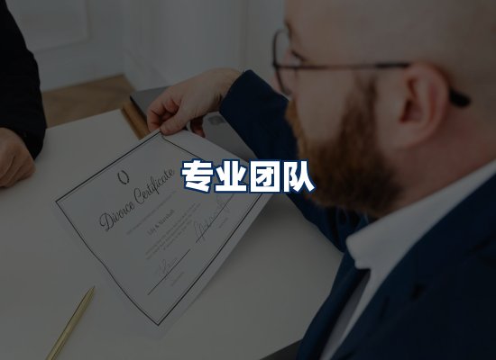 专业团队